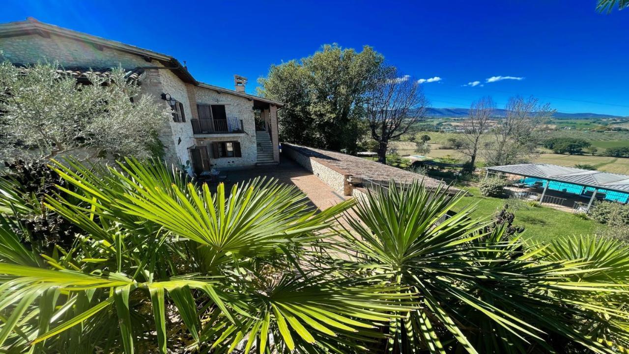 Apartment 6 Guests- Magical Grounds With Pool Jacuzzi