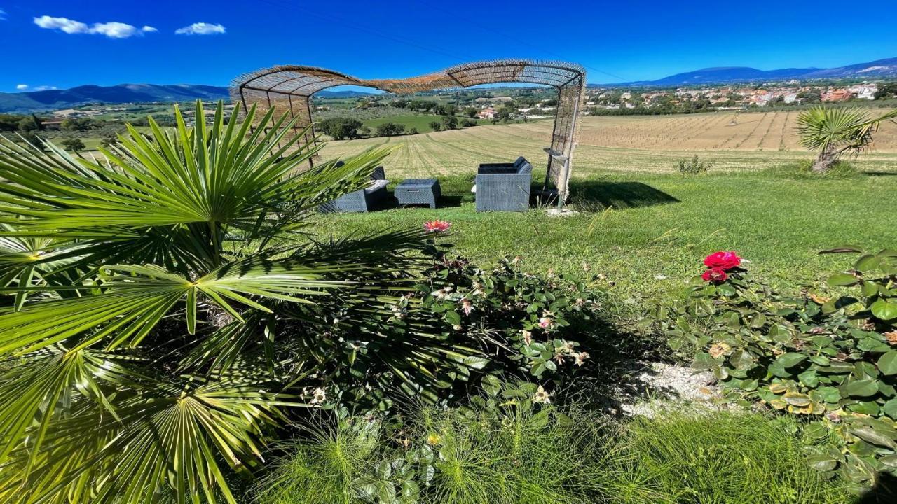 Apartment 6 Guests- Magical Grounds With Pool Jacuzzi