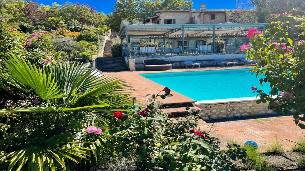 Apartment 6 Guests- Magical Grounds With Pool Jacuzzi *