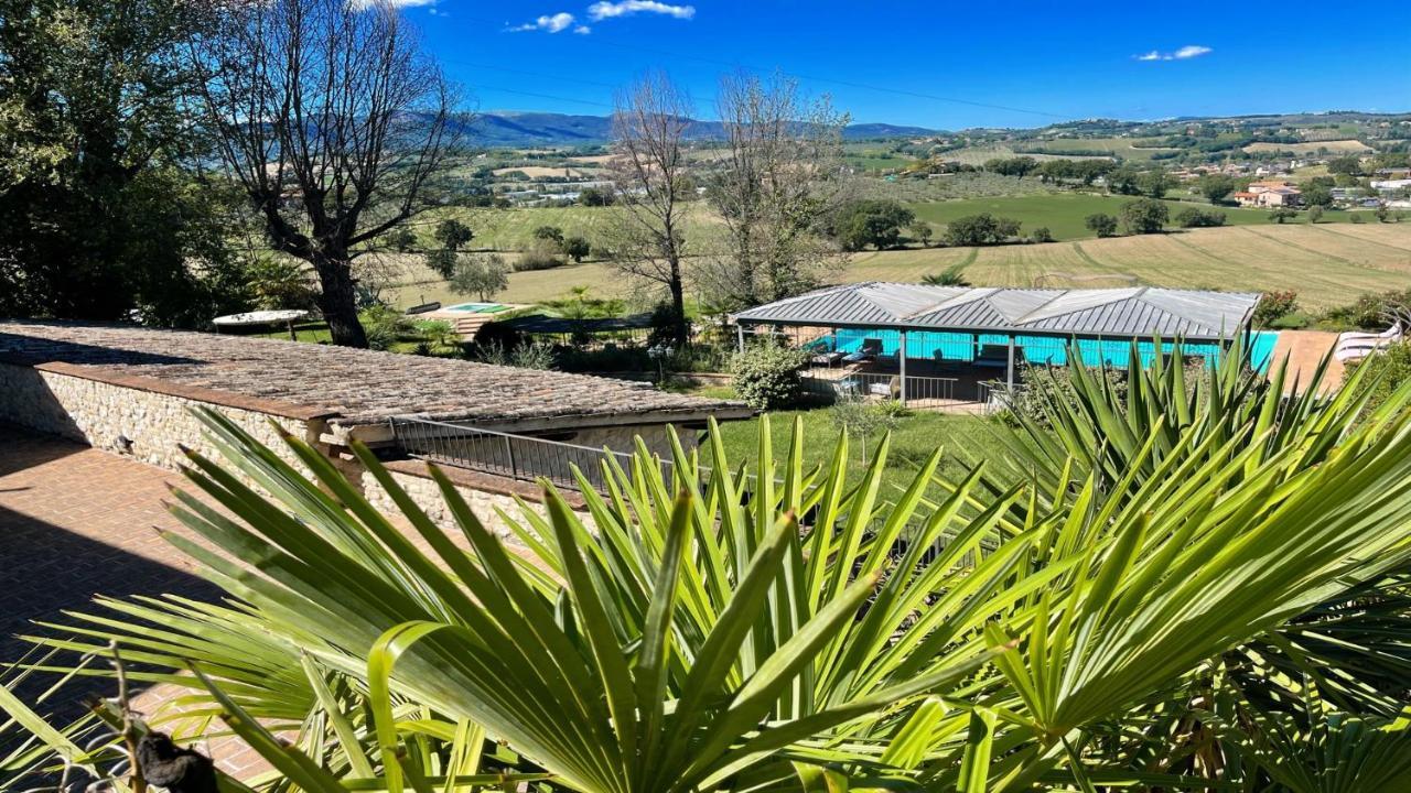 Apartment 6 Guests- Magical Grounds With Pool Jacuzzi